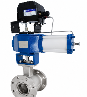 Rotary eccentric ball valve rotary globe