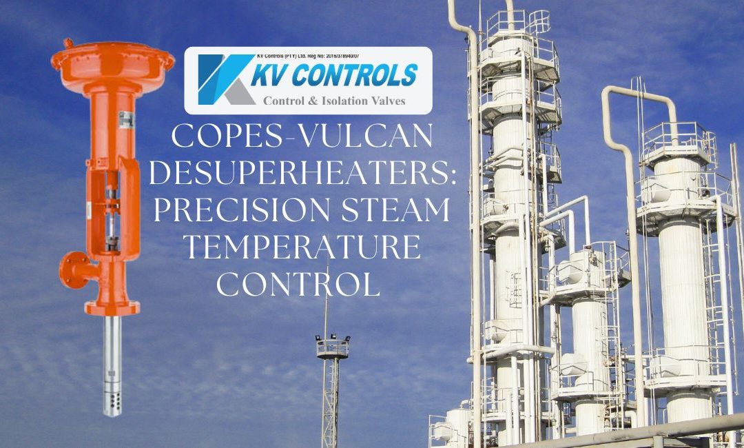 Precision Steam Temperature Control by KV Controls