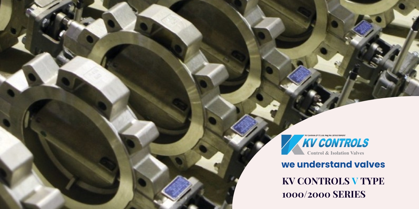 V TYPE 1000 2000 High Performance Double Offset Butterfly Valves one