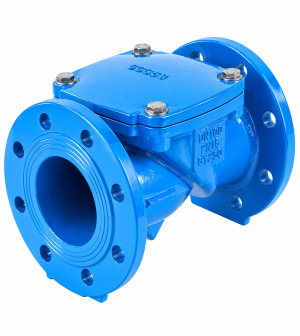 Rubber Flap Check Valve flanged